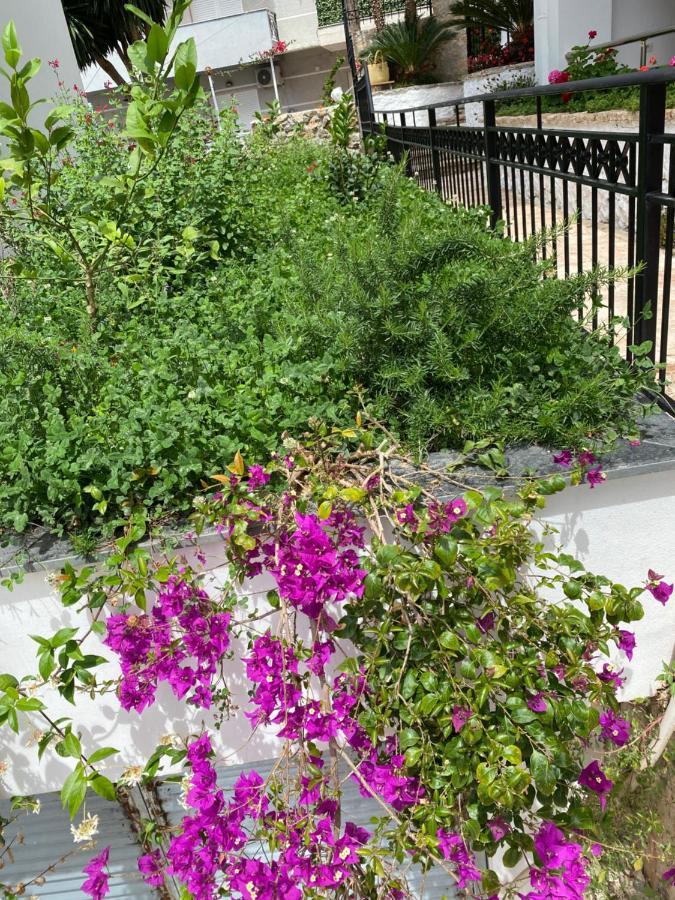 Apartamente Berti`s Garden Sarandë Exterior foto